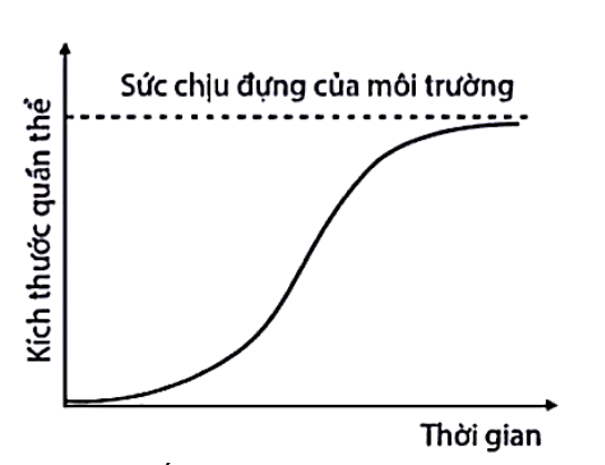 Đồ thị (S) dưới đây mô tả đặc trưng nào sau đây của quần thể? (ảnh 1)