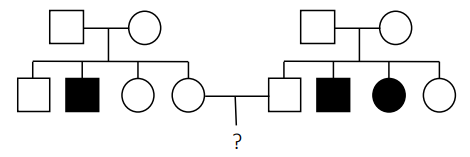 Cho biết x + y bằng bao nhiêu? (ảnh 1)