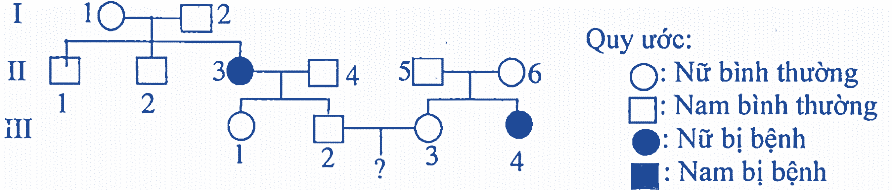 Nếu cặp vợ chồng số III2 và III3 sinh 2 người con, xác suất để chỉ có 1 đứa bị bệnh là bao nhiêu? (ảnh 1)