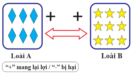 Hình mô tả mối quan hệ giữa hai loài trong quần xã sinh vật. Đây thuộc mối quan hệ nào?    (ảnh 1)