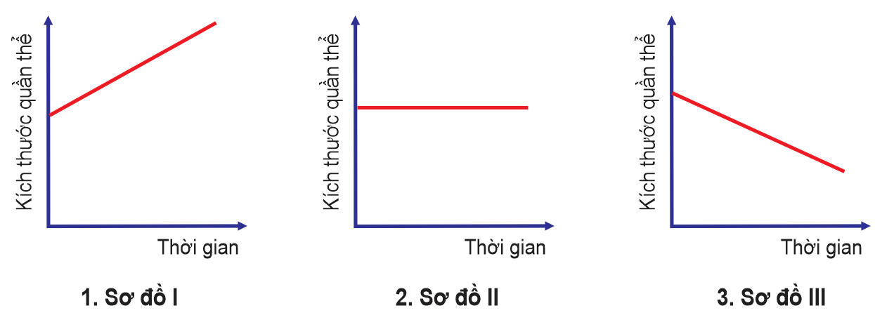 Nếu tốc độ tăng trưởng là - 80 cá thể/1 đơn vị thời gian thì kích thước quần thể nào phù hợp với sơ đồ trên? Hãy viết liền số tương ứng của quần thể (4, 5, 6, 7) tương ứng với 3 sơ đồ (1, 2, 3) (ảnh 1)