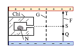 Phát biểu nào sau đây sai? (ảnh 1)