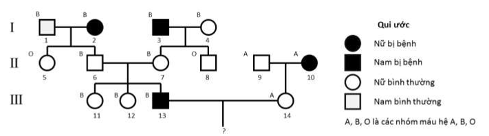 Khả năng cặp vợ chồng (III-13) và (III-14) sinh một đứa con mang kiểu gene dị hợp về cả hai tính trạng là bao nhiêu? (ảnh 1)