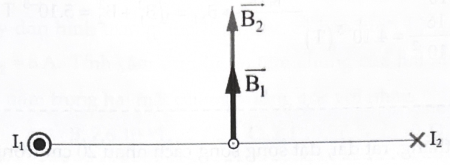 Tìm cảm ứng từ tại điểm M cách mỗi dây 5 cm. (ảnh 1)