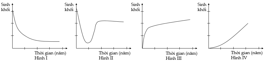 Trong 4 hình trên, 2 hình nào đều mô tả sinh khối của quần xã trong quá trình diễn thế nguyên sinh? (ảnh 1)