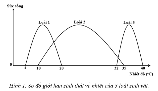 Loài nào trong 3 loài sinh vật trên có thể có vùng phân bố rộng nhất? (ảnh 1)