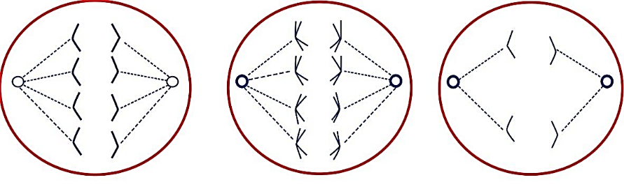 Nhận định sau đây là Đúng? (ảnh 1)