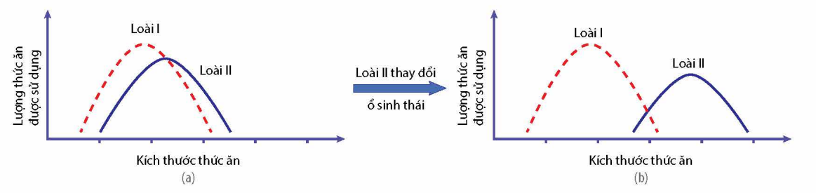 Nhận định sau đây về hình này là Sai? (ảnh 1)