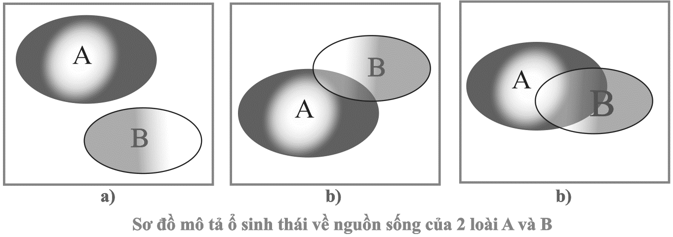 Nhận định sau đây về hình này là Đúng? (ảnh 1)