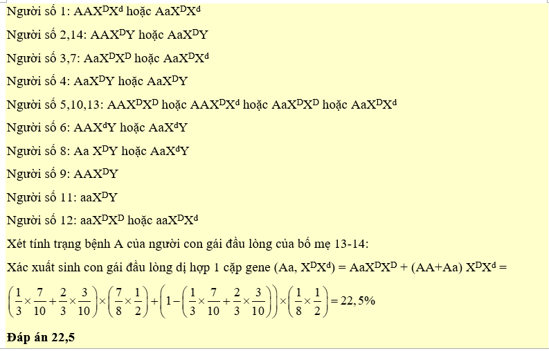 Theo lí thuyết, xác suất sinh con gái đầu lòng dị hợp 1 cặp gene của cặp 13-14 là bao nhiêu %? (ảnh 2)