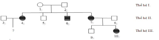 Xác suất người con (III-?) bị bệnh là bao nhiêu? (ảnh 1)