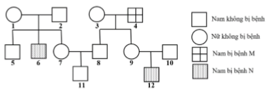 Theo lí thuyết, xác suất sinh con thứ hai bị bệnh của cặp 9 - 10 là bao nhiêu? (ảnh 1)