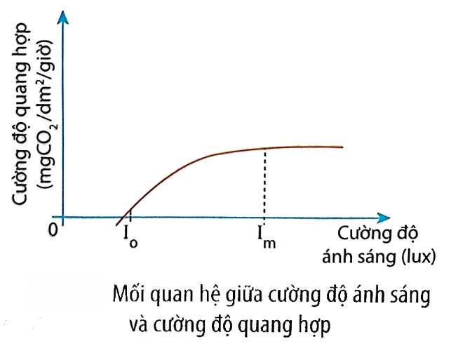 Nhận định sau đây về đồ thị này là Sai? (ảnh 1)