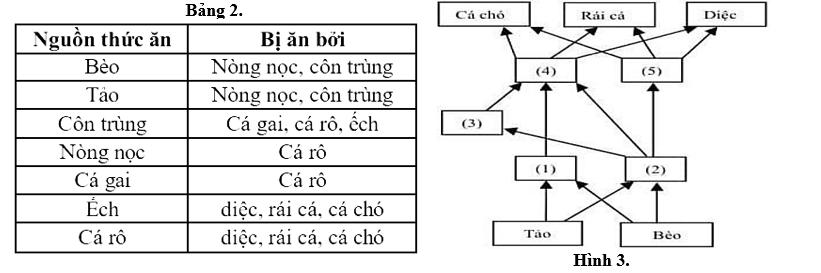 Một lưới thức ăn được thiết lập dựa trên các thông tin trên. Phát biểu nào sau đây Sai? (ảnh 1)