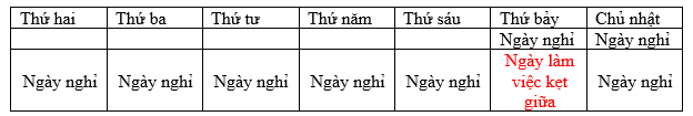 Hỏi năm 2019, cán bộ công nhân viên Việt Nam bắt đầu kì nghỉ Tết vào ngày nào? (ảnh 2)