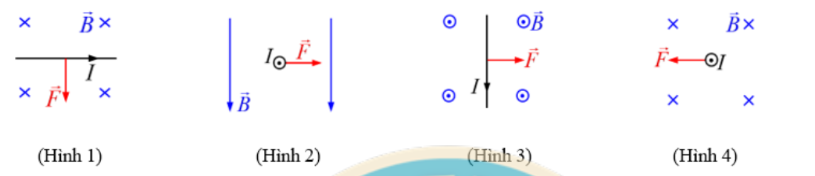 Hình vẽ nào sau đây mô tả đúng về lực từ F tác dụng lên một đoạn dây dẫn thẳng mang dòng điện cường độ I đặt trong một từ trường đều B?   	 (ảnh 1)