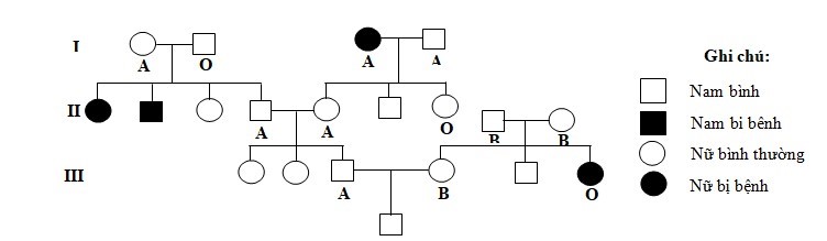 Xác suất để đứa con trai do cặp vợ chồng ở thế hệ III sinh ra mang gene bệnh và có kiểu gene dị hợp về nhóm máu là bao nhiêu? (ảnh 1)