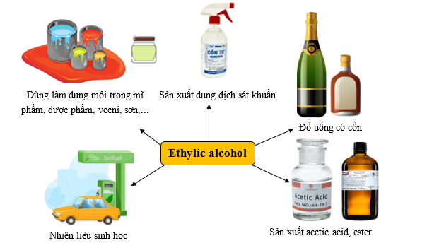 em hãy trình bày các ứng dụng của ethylic alcohol và cho biết các ứng dụng đó dựa vào tính chất gì của ethylic alcohol. (ảnh 1)