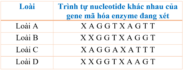 Phân tích bảng dữ liệu trên, có thể dự đoán về mối quan hệ họ hàng giữa các loài trên là. (ảnh 1)