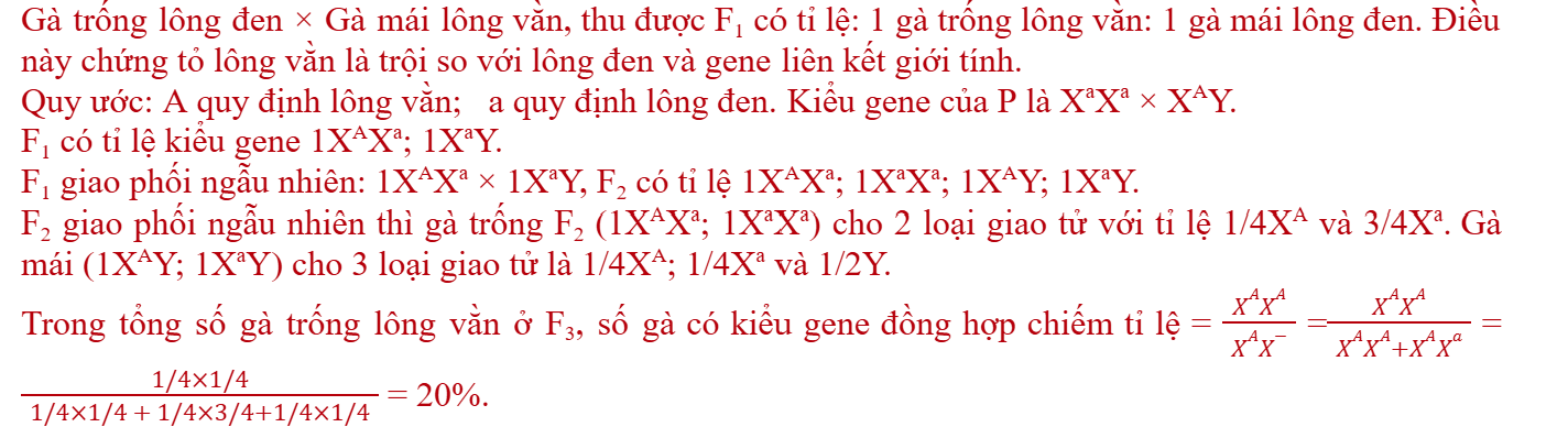 Theo lý thuyết, trong tổng số gà trống lông vằn ở F3, số gà có kiểu gene đồng hợp chiếm tỉ lệ (ảnh 1)