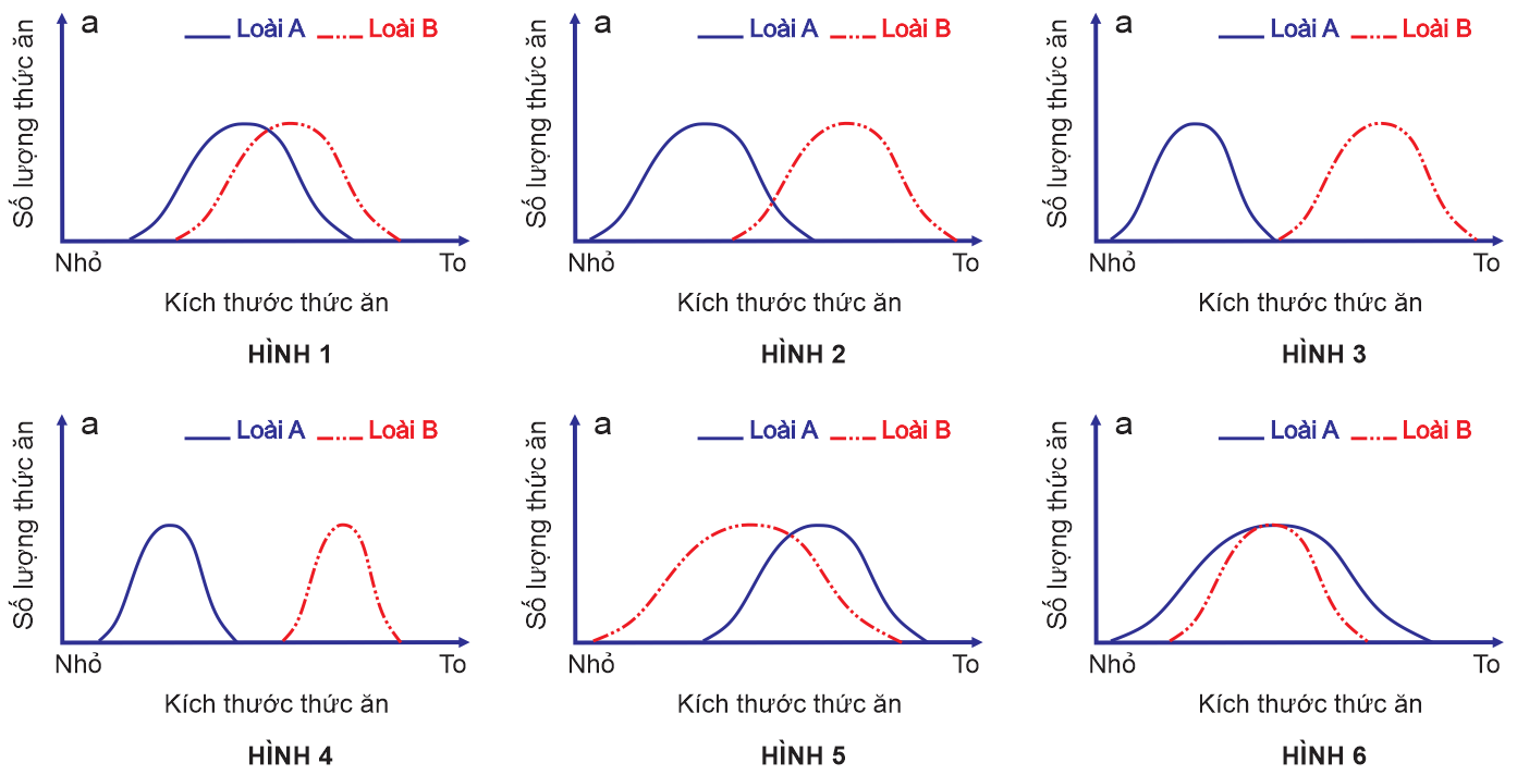 Có bao nhiêu hình thể hiện loài A và loài B có cạnh tranh nhau về thức ăn? (ảnh 1)