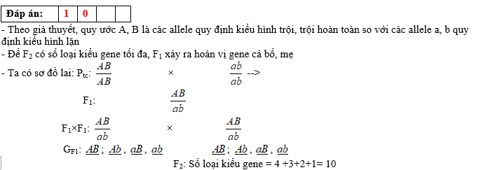 Theo lí thuyết, có tối đa bao nhiêu kiểu gene ở F2? (ảnh 1)