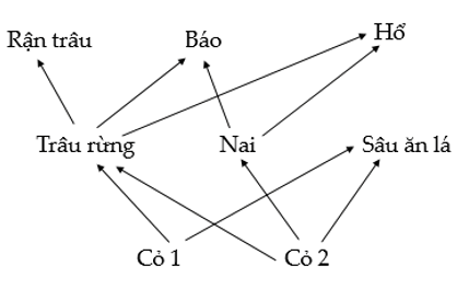 (Hãy viết liền các số tương ứng với các dự đoán đúng theo thứ tự từ nhỏ đến lớn). (ảnh 1)