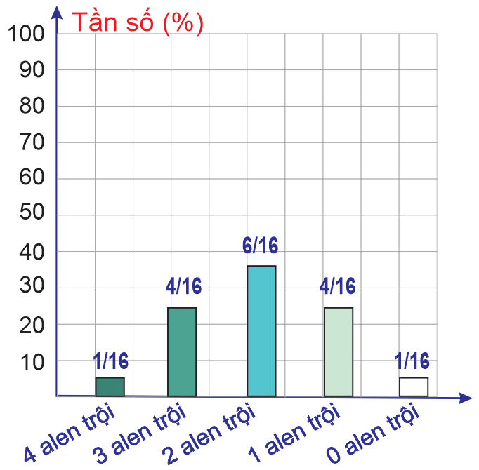 Theo lý thuyết, nếu đem các cơ thể (F2) mang 1 alelle trội giao phối ngẫu nhiên thì khả năng xuất hiện con lông trắng (chỉ mang alelle lặn) chiếm bao nhiêu phần trăm? (ảnh 1)