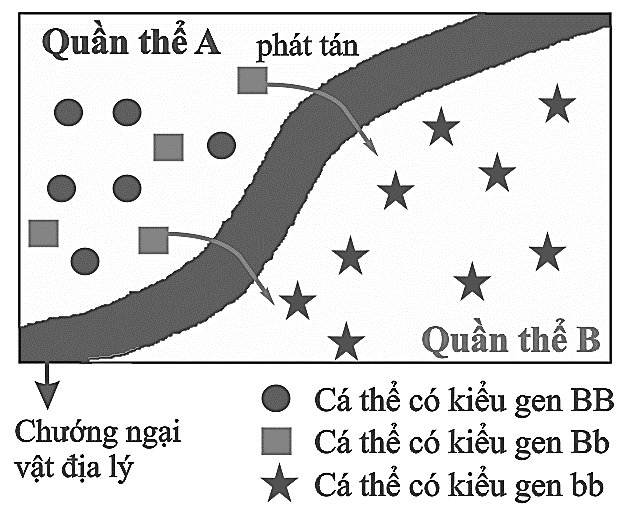 Phát biểu nào sau đây là sai? (ảnh 1)