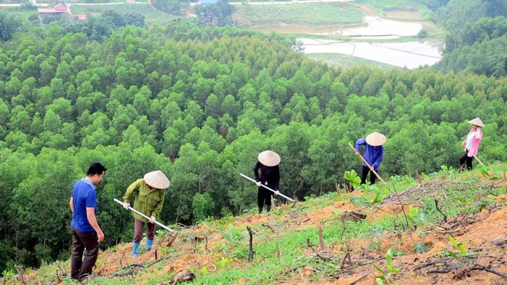 Không chỉ Việt Nam mà thế giới cũng đều kêu gọi mọi người chung tay trồng nhiều cây xanh, phủ kín đồi trọc. Việc làm này đem lại lợi ích gì cho môi trường? (ảnh 2)