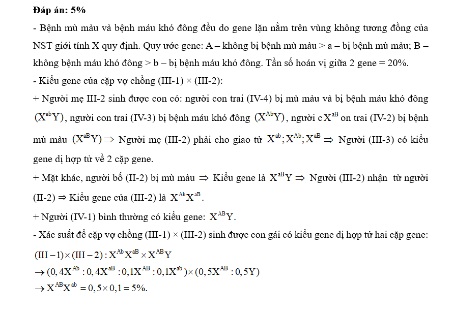 Nếu xảy ra hoán vị gene với tần số bằng 20% thì xác suất để cặp vợ chồng III-1 × III-2 sinh được con gái có kiểu gene dị hợp tử hai cặp gene là bao nhiêu? (ảnh 2)