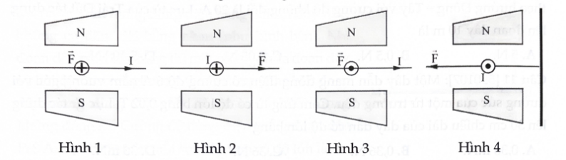 Hình nào biểu diễn đúng hướng lực từ tác dụng lên một đoạn dây dẫn thẳng mang dòng điện I đặt trong từ trường đều ? (ảnh 1)