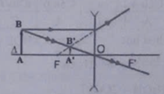 Vẽ ảnh A’B’ của vật sáng AB đặt trước Thấu kính phân kì trong hình sau.   (ảnh 2)