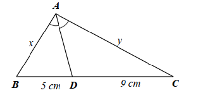 Cho hình vẽ dưới đây.   Tỉ số y/x  là (ảnh 1)