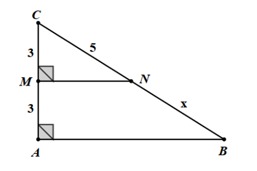 Cho hình vẽ dưới đây:   Độ dài \(x\) là A. \(5.\)	B. \(3.\)	C. \(10.\)	D. \(6.\) (ảnh 1)