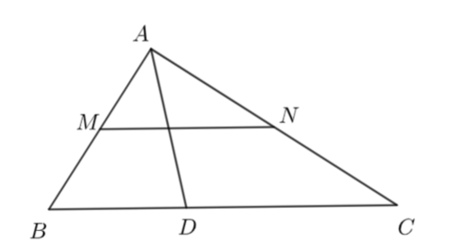 Cho tam giác ABC vuông tại A có AB = 8cm , AC = 6cm. Có M,N là trung điểm của AB , AC (ảnh 1)