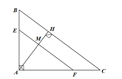 Cho \(\Delta ABC\) vuông tại \(A\)có \(AB = 6{\rm{ cm}}\), \(AC = 8{\rm{ cm}}\). (ảnh 1)