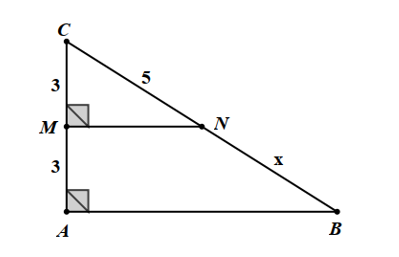 Cho hình vẽ dưới đây: Độ dài x là (ảnh 1)