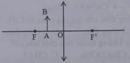 Vẽ ảnh A’B’ của vật sáng AB đặt trước Thấu kính hội tụ trong hình sau.   (ảnh 1)