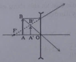 Vẽ ảnh A’B’ của vật sáng AB đặt trước thấu kính phân kì trong hình sau.   (ảnh 2)