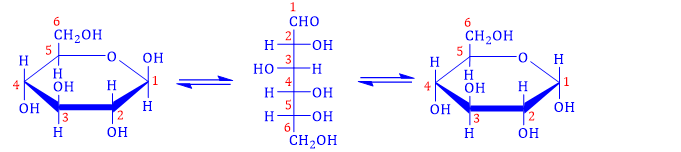 Ở dạng mạch vòng, nhóm -OH hemiacetal của glucose ở vị trí nguyên tử C số: (ảnh 1)