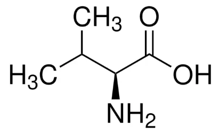 Số nguyên tử carbon trong phân tử valine là 		 (ảnh 1)