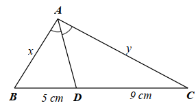 Tỉ số \(\frac{y}{x}\) là (ảnh 1)