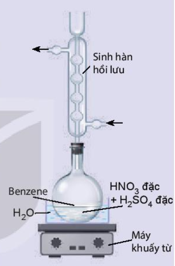 Nhận định nào sau đây là đúng về thí nghiệm trên? (ảnh 1)