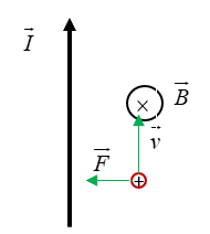 Sau đó hạt proton sẽ chuyển động (ảnh 1)