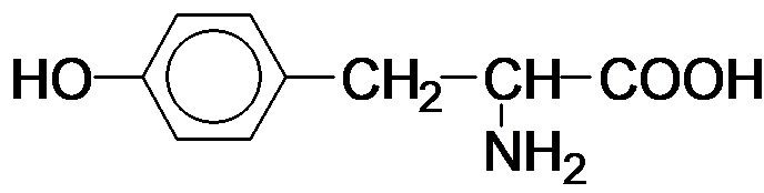 a) Tyrosine có công thức phân tử là C9H11NO3.  (ảnh 1)