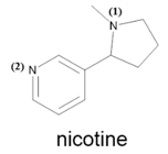 Bậc của nguyên tử N(1) trong phân tử nicotin là (ảnh 1)