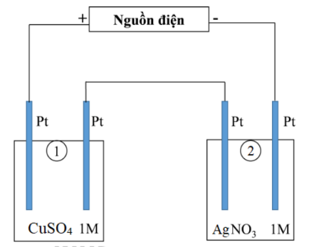 Tính số gam Cu bám lên điện cực trong bình (1) tại thời điểm t giây. (ảnh 1)