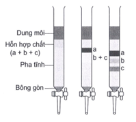 Những nhận định đúng là (ảnh 1)