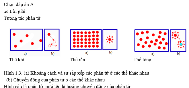 Hình bên mô tả cấu trúc phân tử ở thể nào dưới đây?    (ảnh 2)